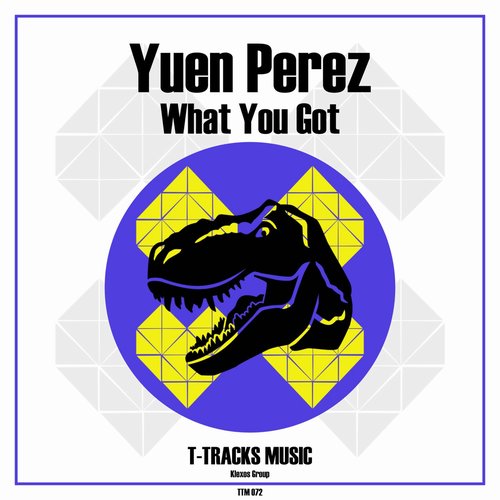 Yuen Perez - What You Got [TTM072]